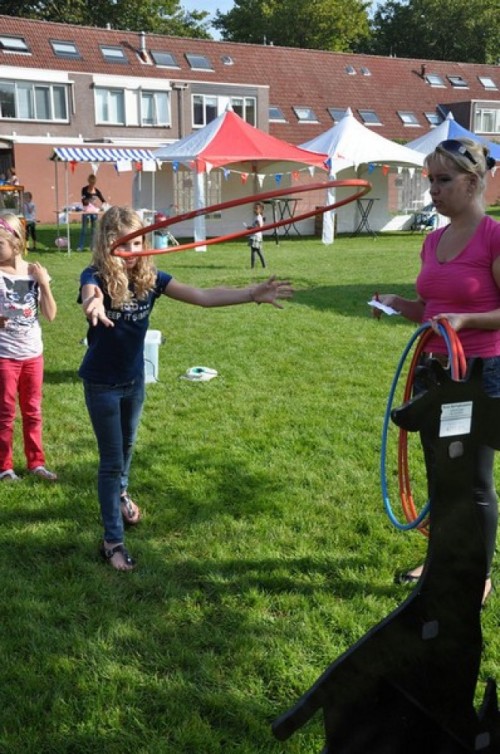 Hoepelgooien - Giraffe 